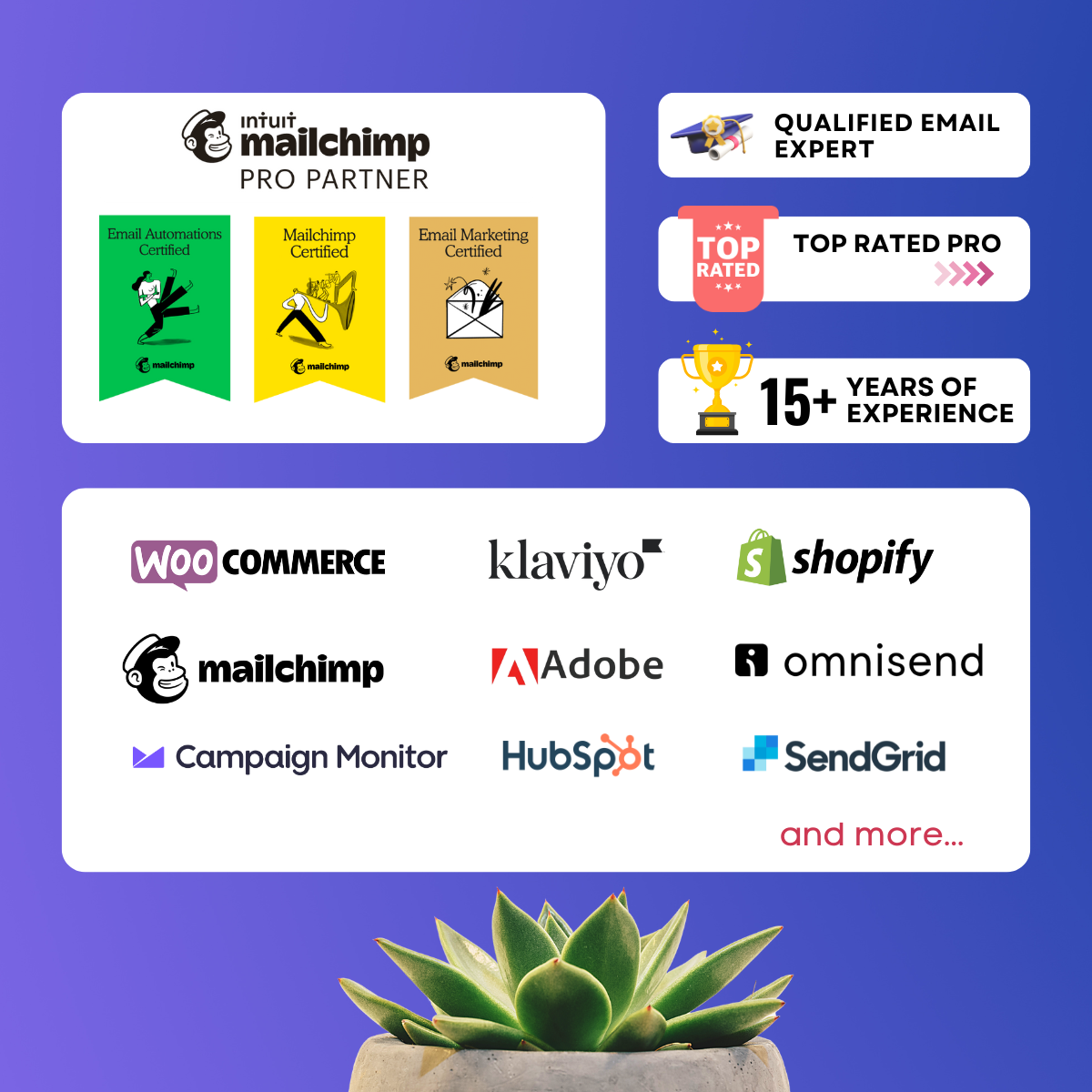 Omnisend email template design