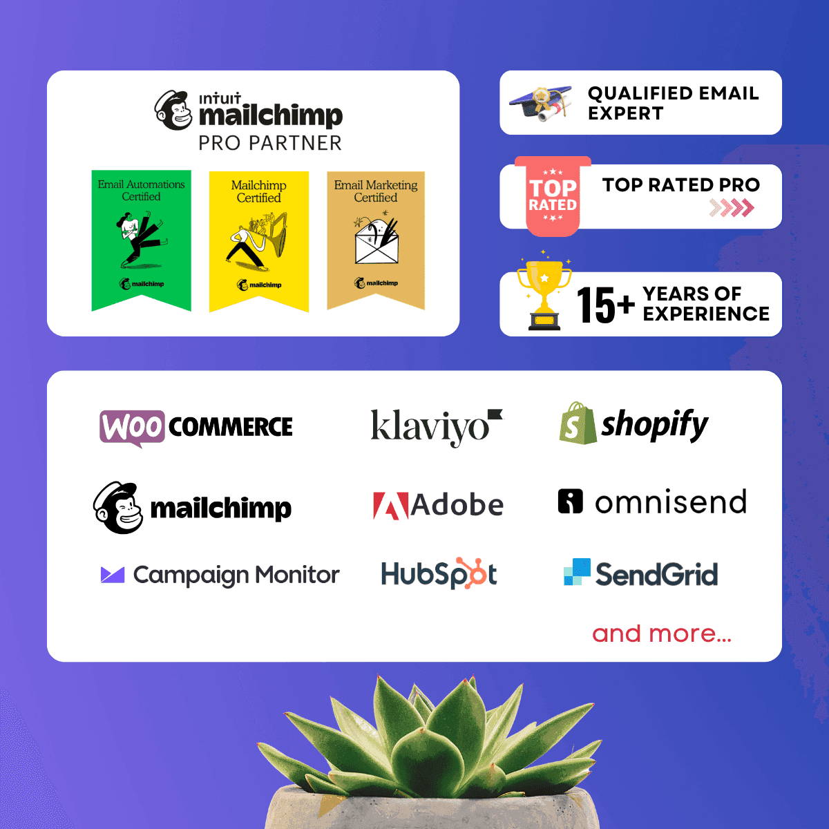 Klaviyo email campaign and account management - NivinDesign