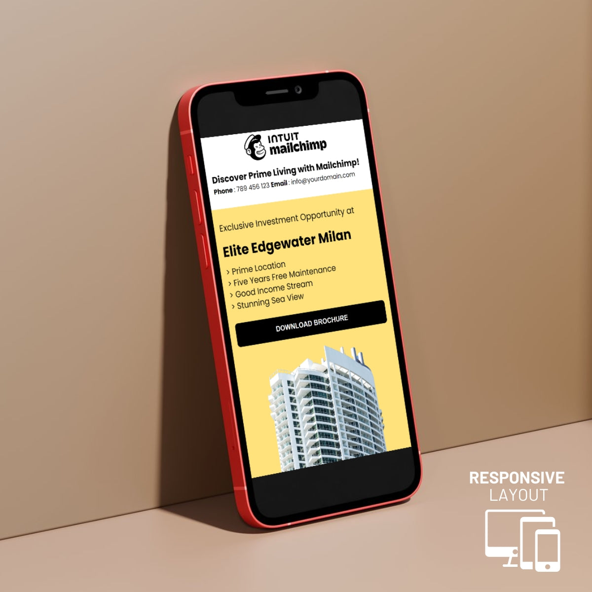 Mailchimp Editable Email Template for real estate businesses