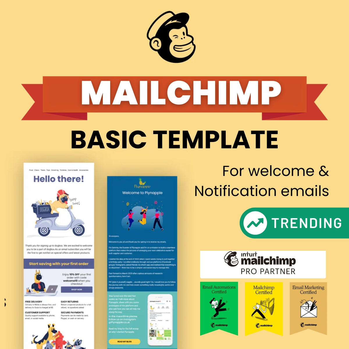 Mailchimp Email Template